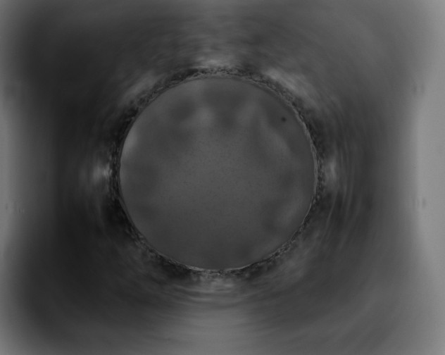 X0000092221254200709211001