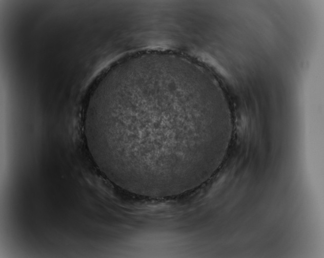 X0000092221256200709211001