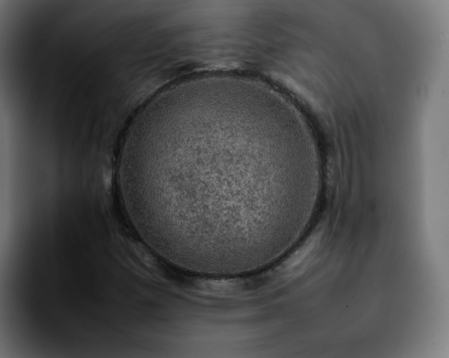 X0000092221257200709211001