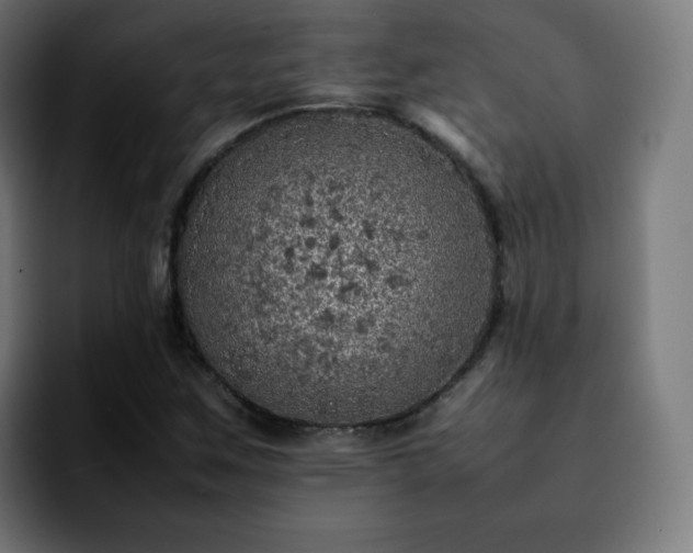 X0000092221259200709211001