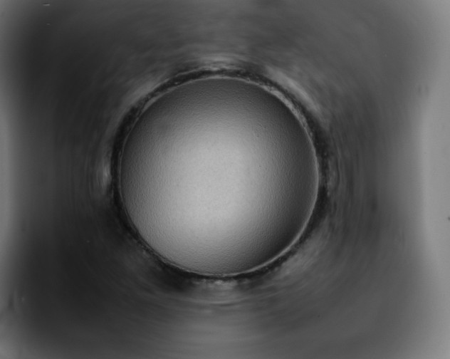 X0000092221261200709211001