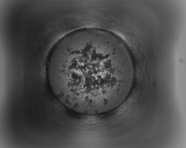 X0000092221263200709211001
