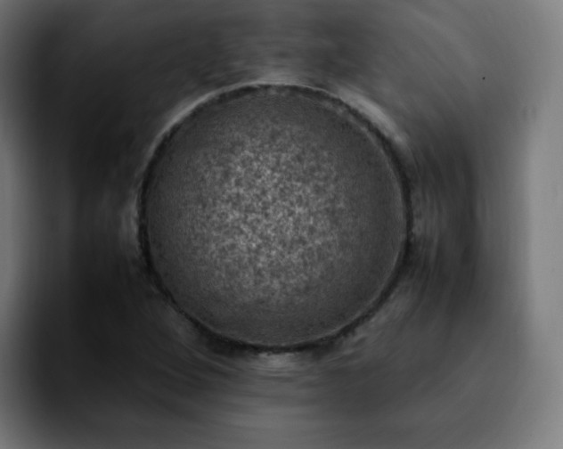 X0000092221264200709211001