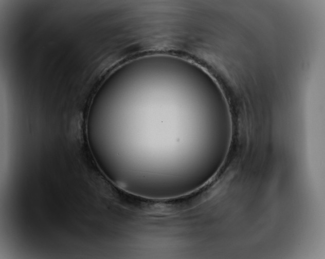X0000092221265200709211001