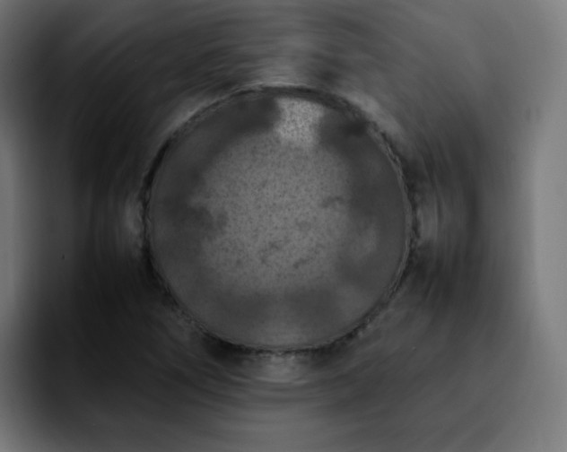 X0000092221266200709211001