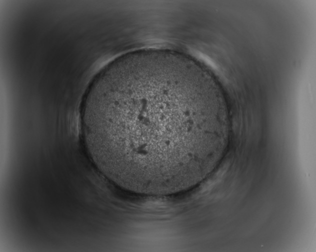 X0000092221267200709211001