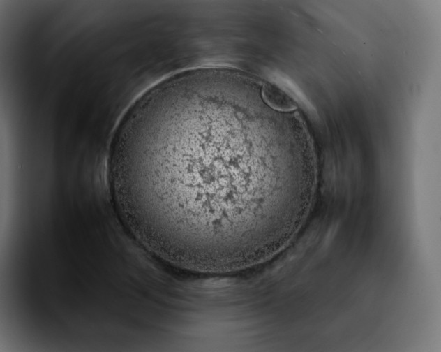 X0000092221268200709211001