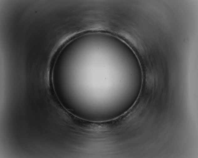 X0000092221270200709211001