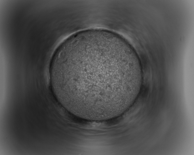 X0000092221271200709211001
