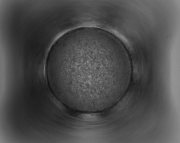 X0000092221272200709211001