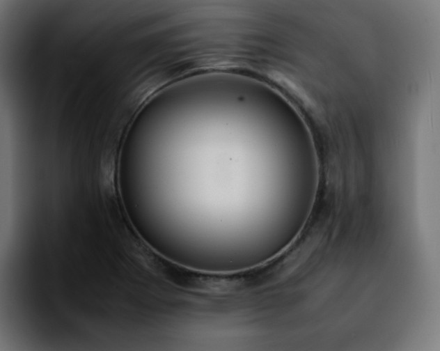 X0000092221273200709211001