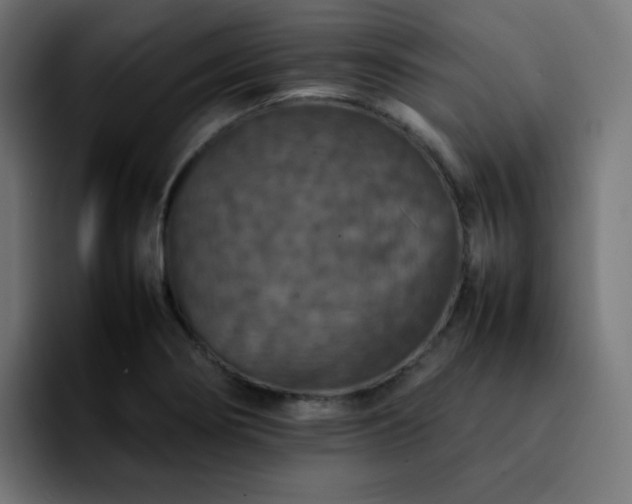 X0000092221274200709211001