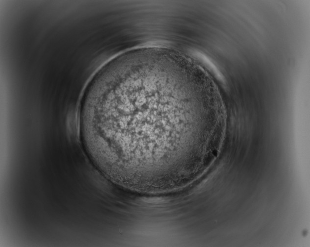 X0000092221276200709211001
