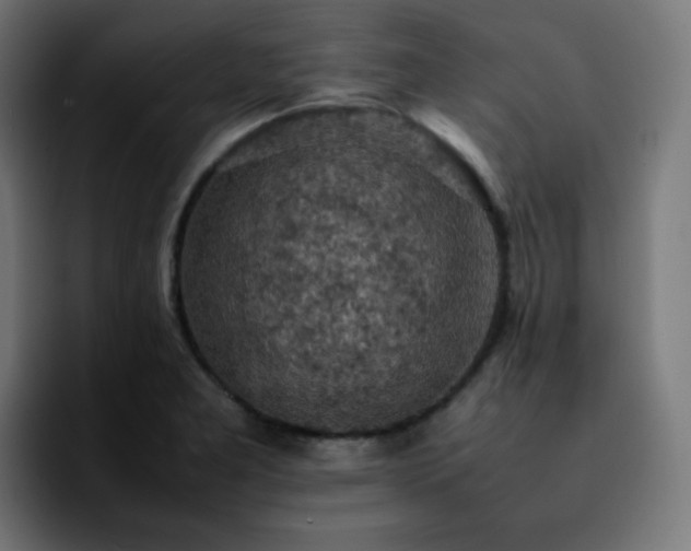 X0000092221277200709211001