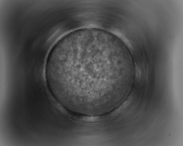 X0000092221278200709211001