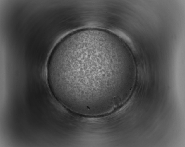 X0000092221280200709211001