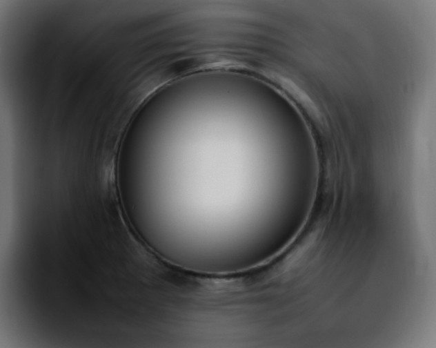 X0000092221281200709211001