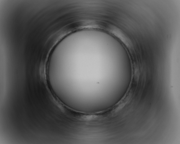 X0000092221282200709211001