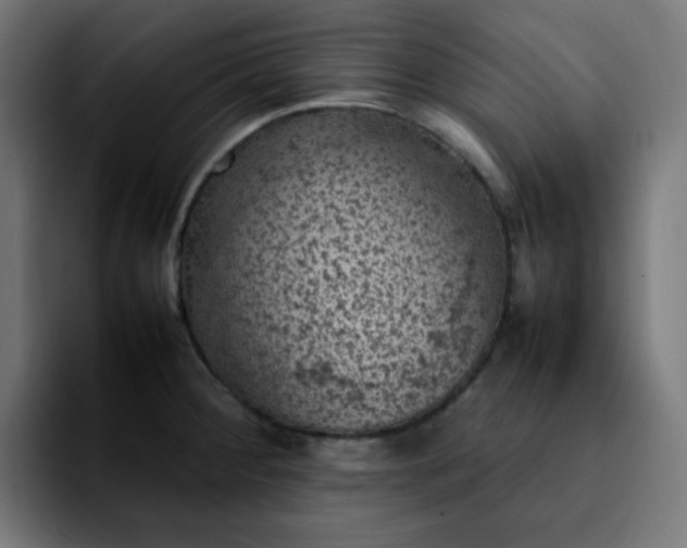 X0000092221284200709211001