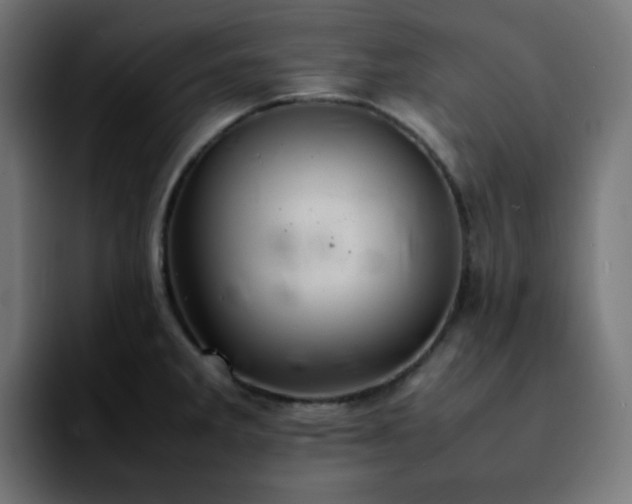 X0000092221285200709211001