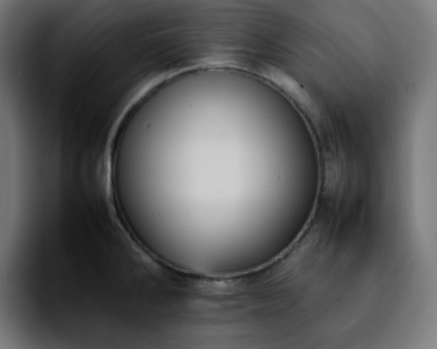 X0000092221286200709211001