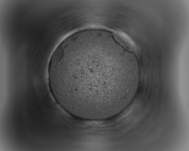 X0000092221287200709211001