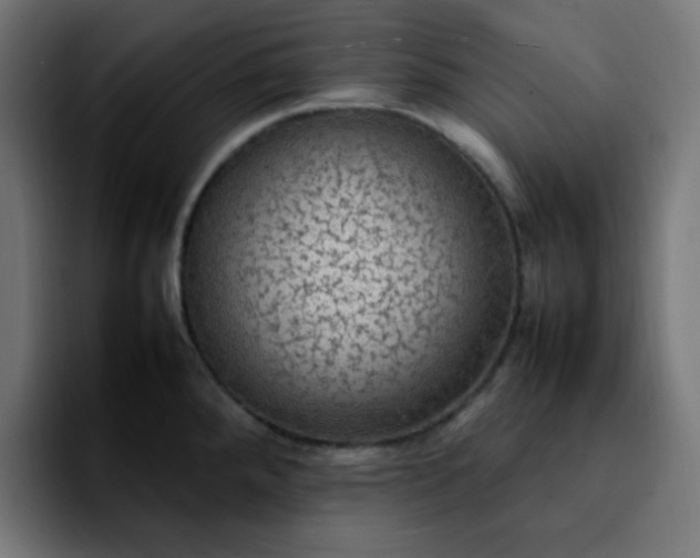 X0000092221288200709211001