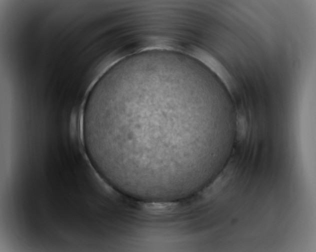 X0000092221290200709211001