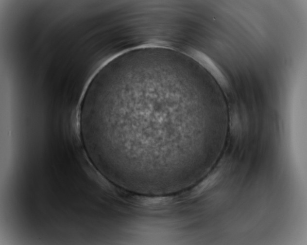 X0000092221292200709211001