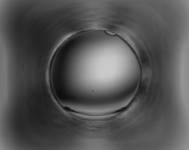 X0000092221293200709211001