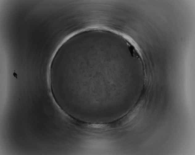 X0000092221295200709211001