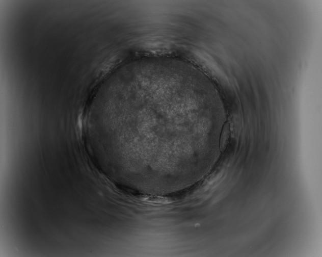 X0000092221298200709211000