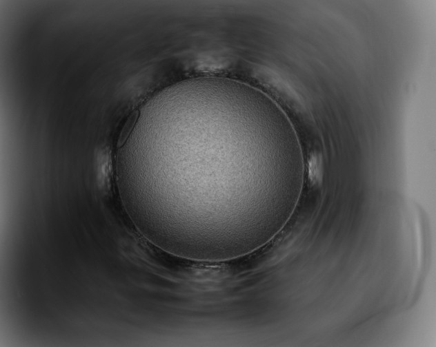 X0000092221299200709211000