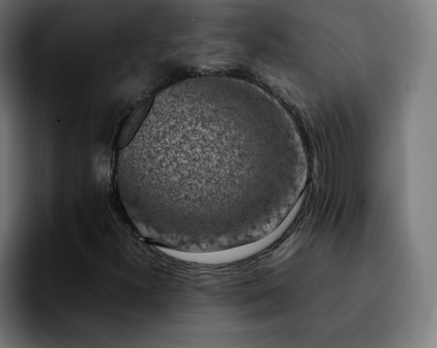 X0000092221300200709211000