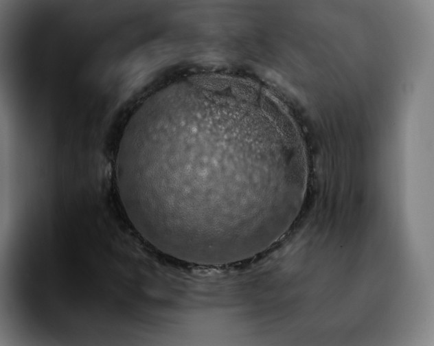 X0000092221302200709211000