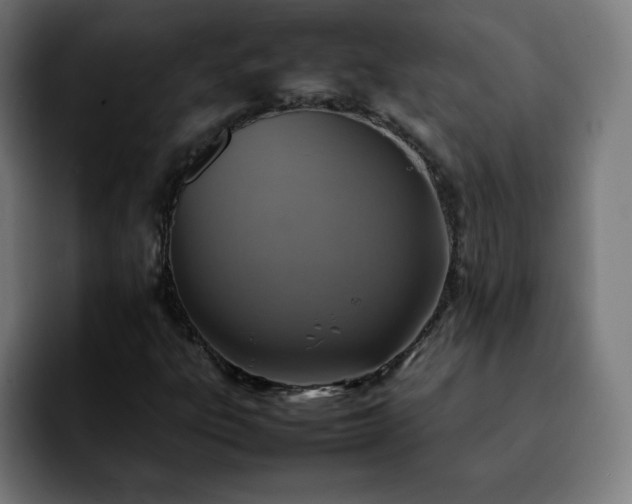 X0000092221303200709211000