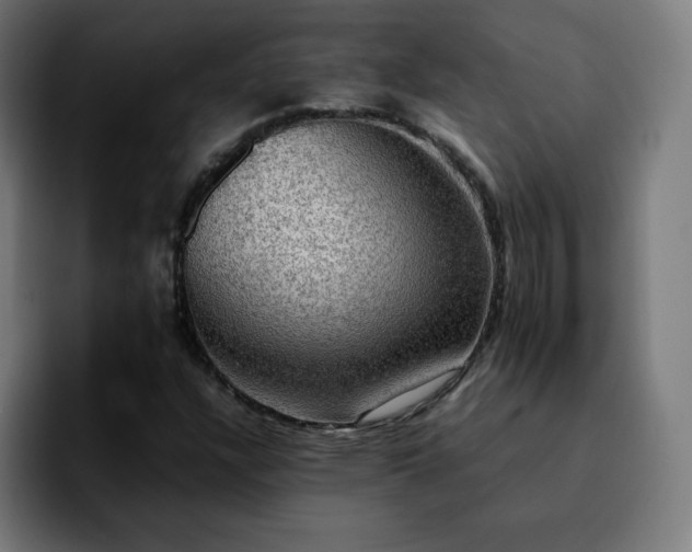 X0000092221304200709211000