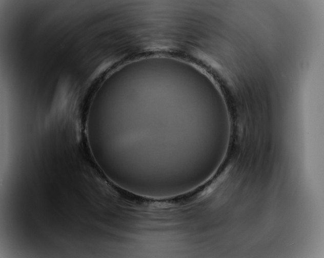 X0000092221306200709211000