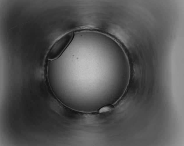 X0000092221308200709211000
