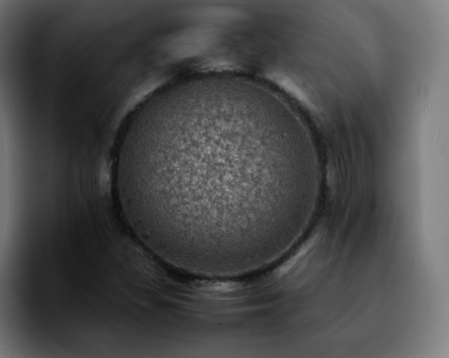 X0000092221309200709211000