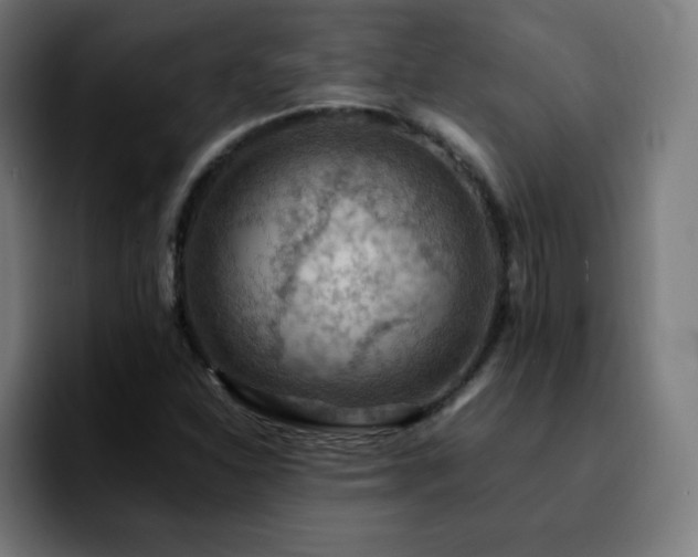 X0000092221310200709211000