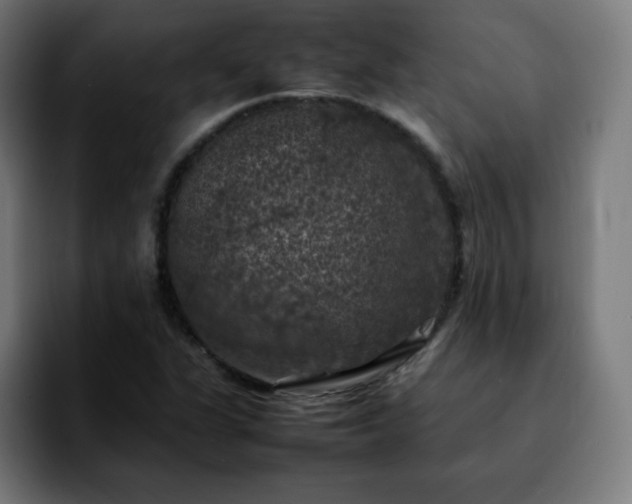 X0000092221311200709211000