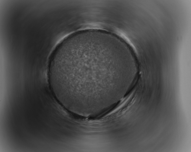 X0000092221312200709211000