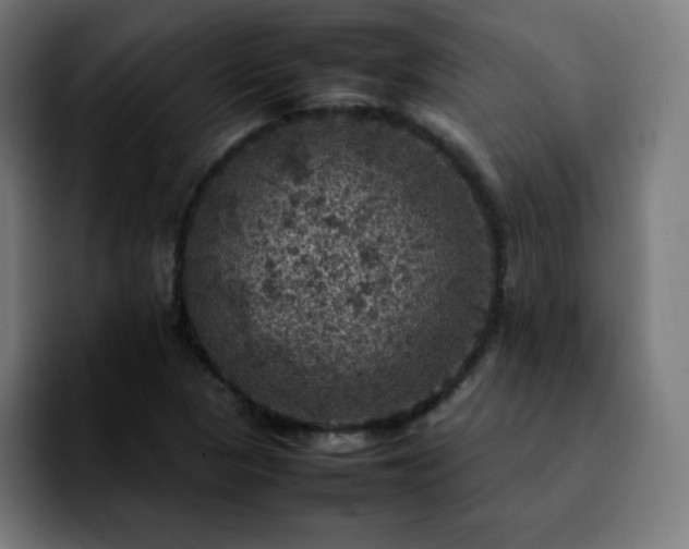 X0000092221313200709211000