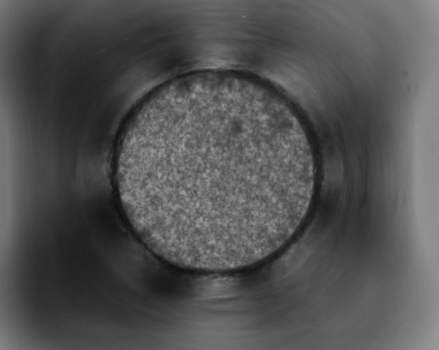 X0000092221314200709211000