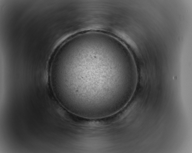 X0000092221316200709211000