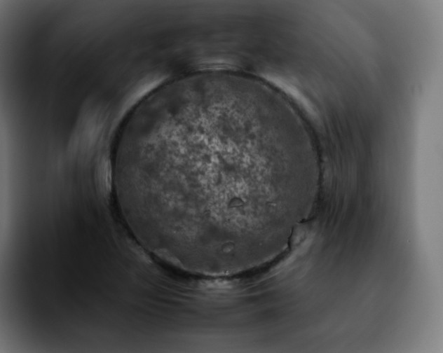 X0000092221317200709211000