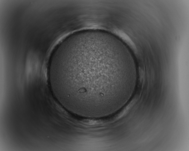 X0000092221318200709211000