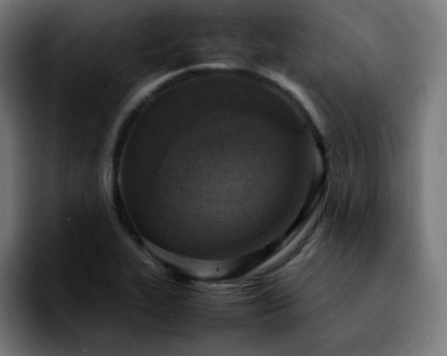 X0000092221319200709211000