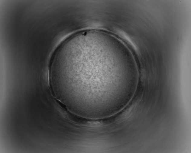 X0000092221320200709211000
